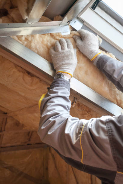 Best Insulation Installation Services in Manchaca, TX