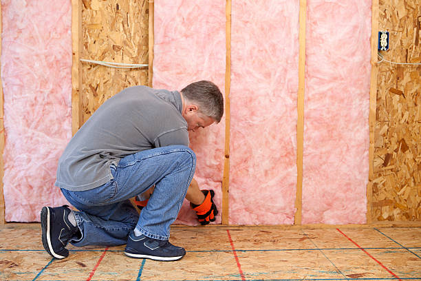 Best Insulation Maintenance and Repair in Manchaca, TX